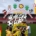 Almeida Cup