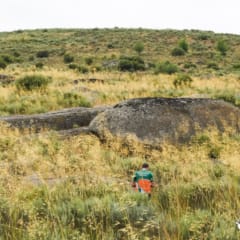 Campeonato Nacional de Orientação