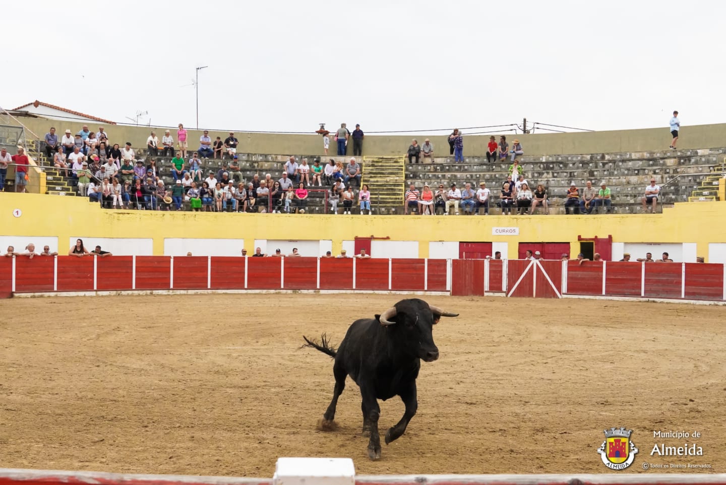 Demonstração Toureio Nave de Haver