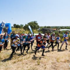 Campeonato Nacional de Orientação