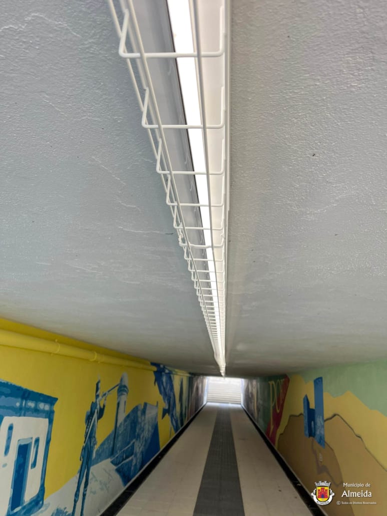 Whatsapp Image 2025 07 23 At 15.13.24 (2)