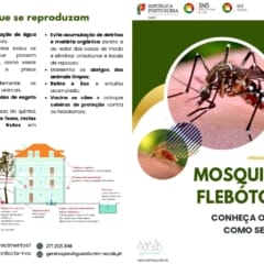 Folheto Mosquitos E Flebotomos, Conheca Os Riscos E Como Se Proteger Page 0001