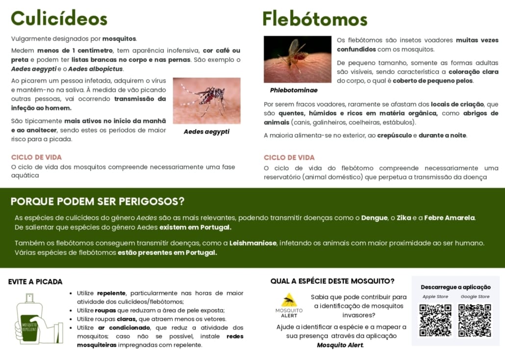 Folheto Mosquitos E Flebotomos, Conheca Os Riscos E Como Se Proteger Page 0002