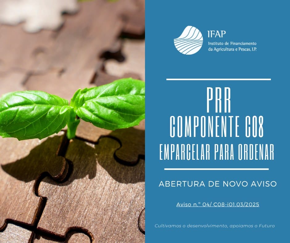 511183066 1170662481763697 8267581093487461044 N