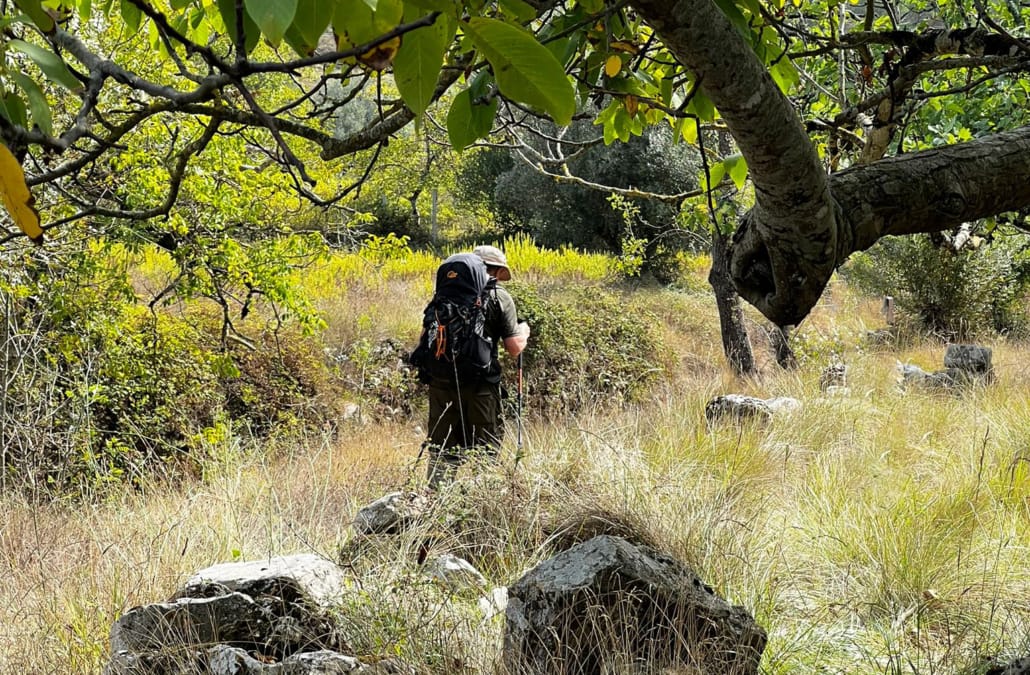 Caminhos De Santiago 1