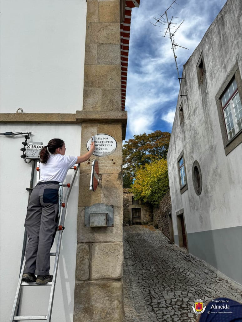 Processed 0facda11 0256 450d B0c9 E012538670e4