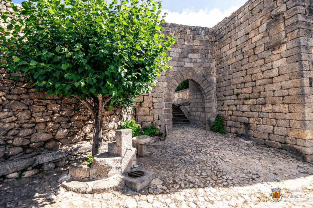 Imagem 7 Castelo Bom