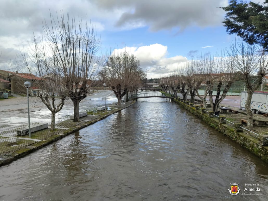 Whatsapp Image 2026 01 27 At 16.13.32