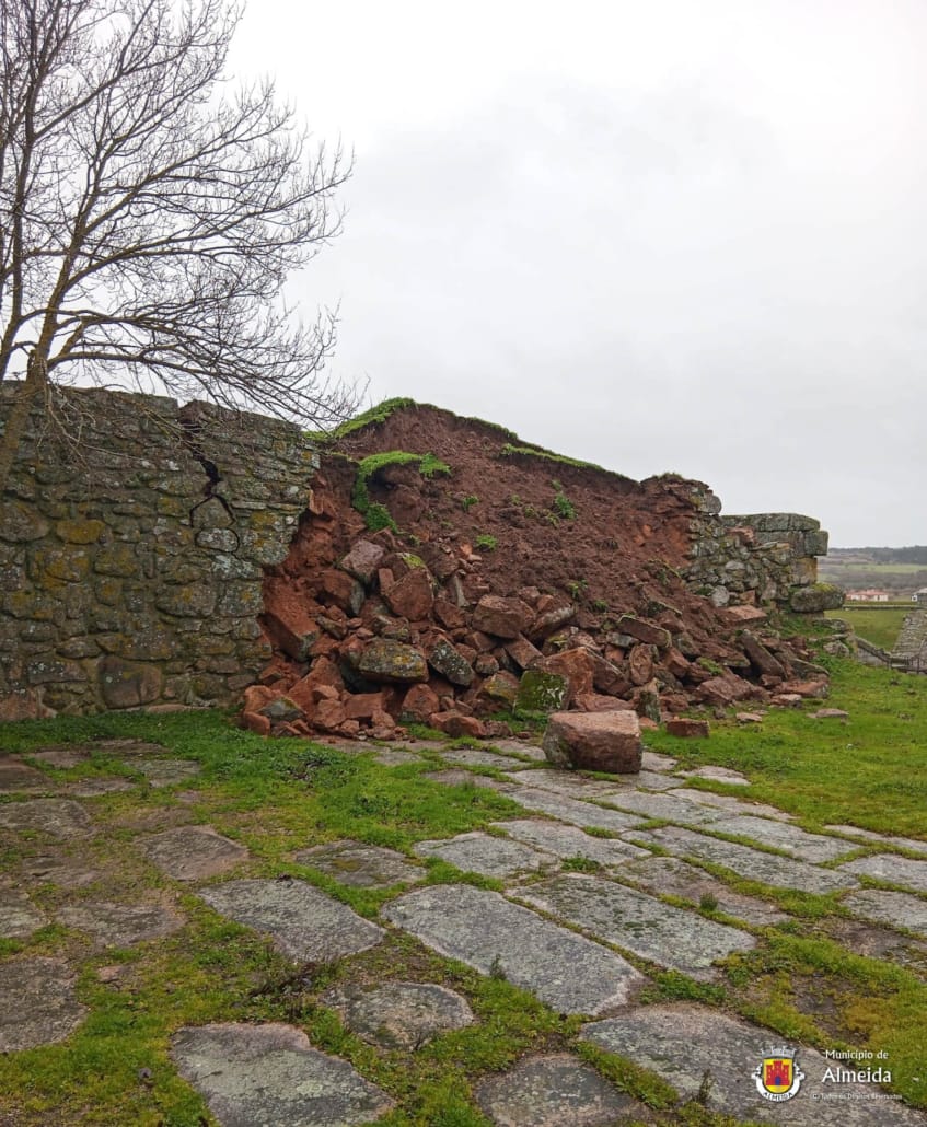 Whatsapp Image 2026 02 07 At 11.35.20