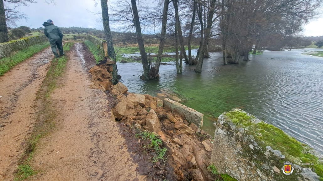 Whatsapp Image 2026 02 07 At 11.38.49 (1)