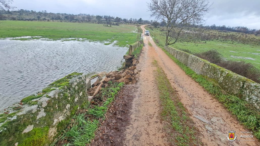 Whatsapp Image 2026 02 07 At 11.38.49