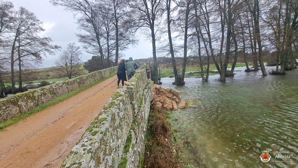 Whatsapp Image 2026 02 07 At 11.38.50