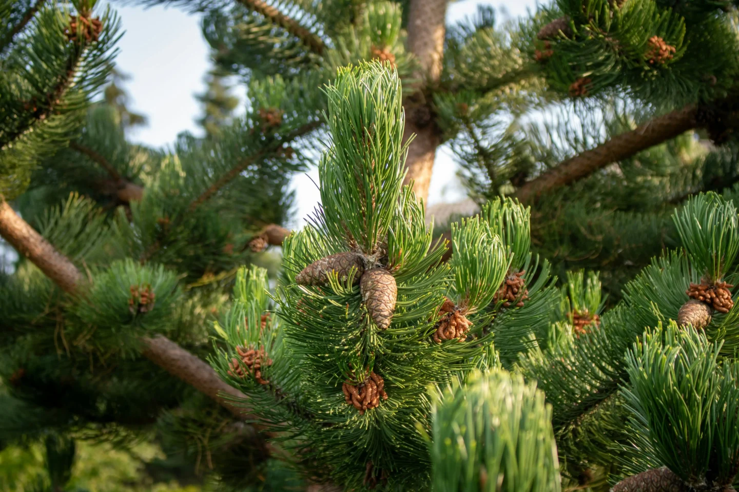 Zoshua Colah Bvywwrtte7g Unsplash