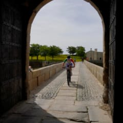 Dsc9687