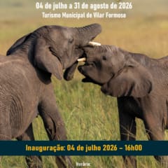 Cartaz