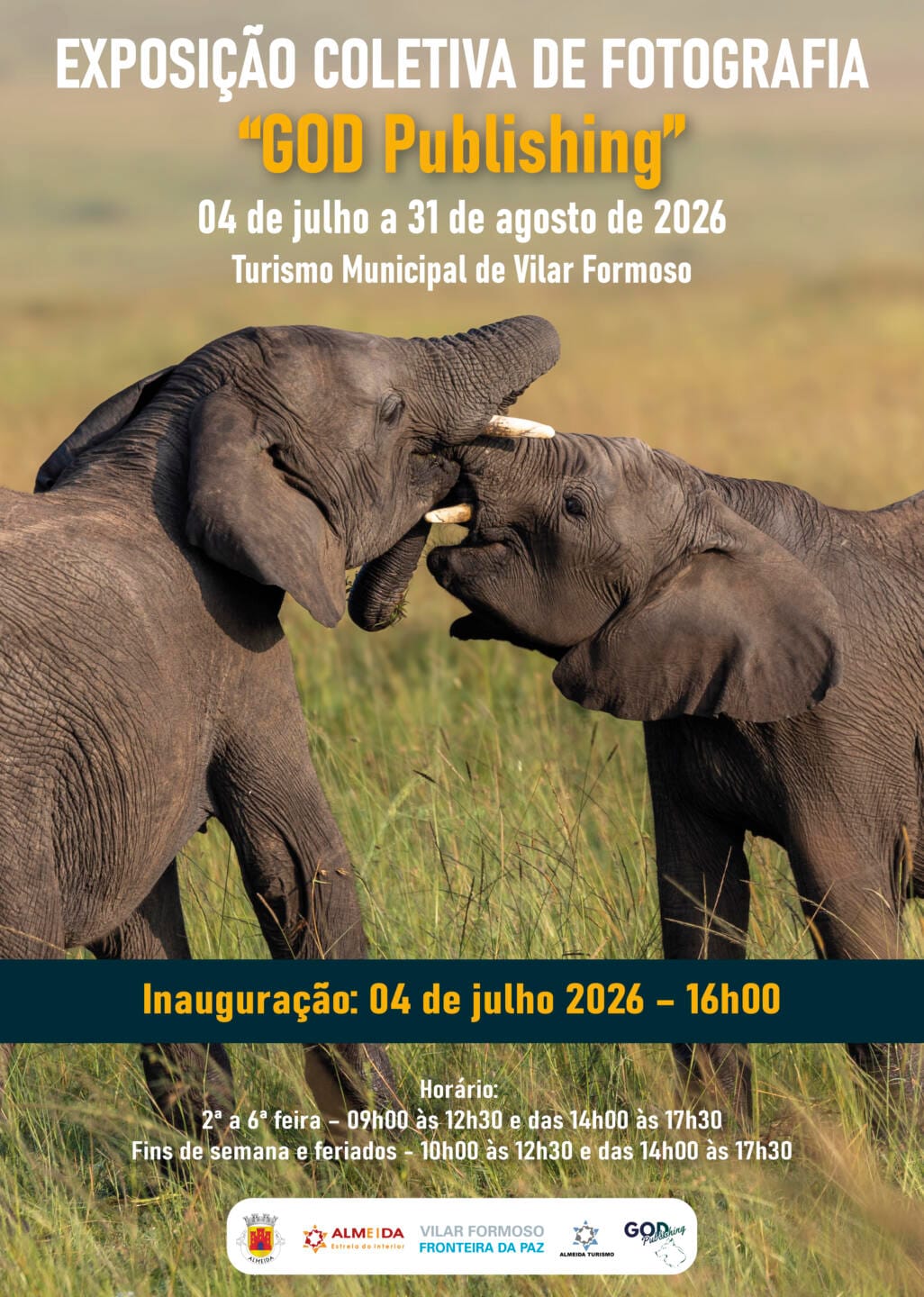 Cartaz