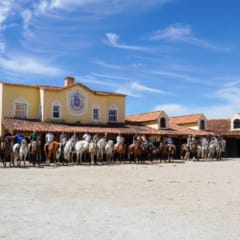XVIII Encontro de Cavaleiros – Passeio Equestre do Picadeiro D’el Rey