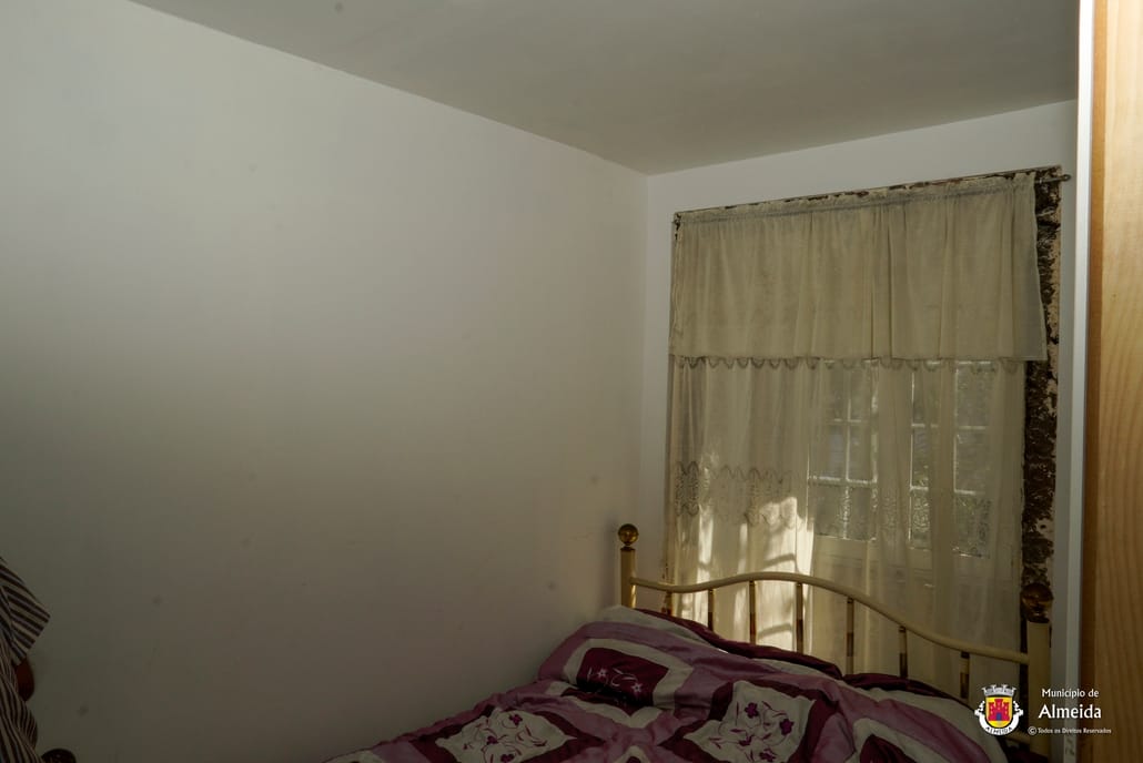  Dsc3335