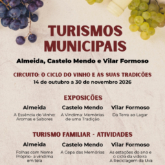 O Ciclo do Vinho e as Suas Tradições