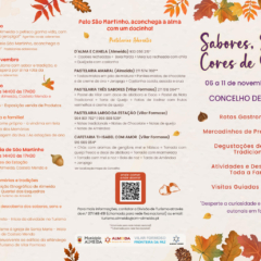 Flyer Triptico Exterior