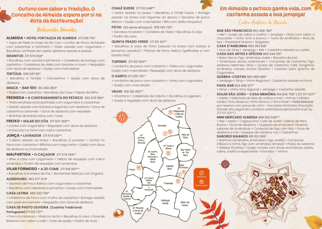 Flyer Triptico Interior